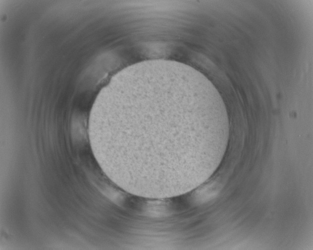 X0000060550240200511241233