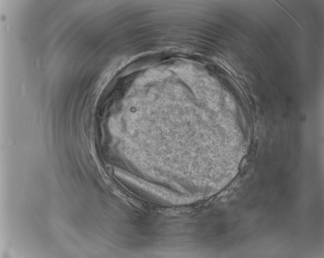 X0000060550241200511241232