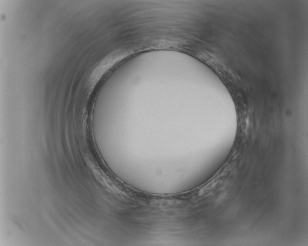 X0000060550242200511241232