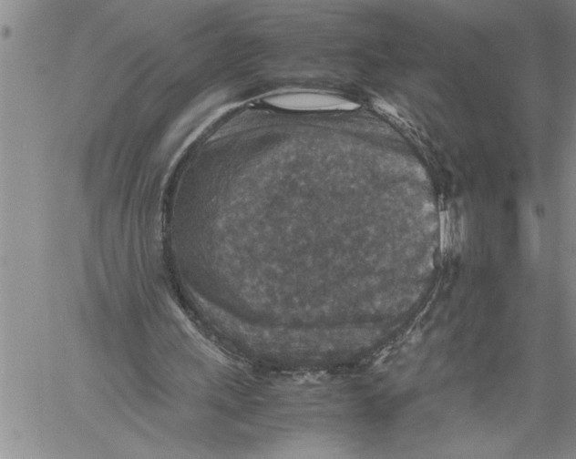 X0000060550243200511241232