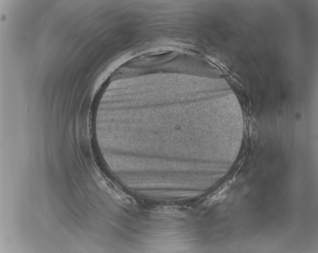 X0000060550244200511241232