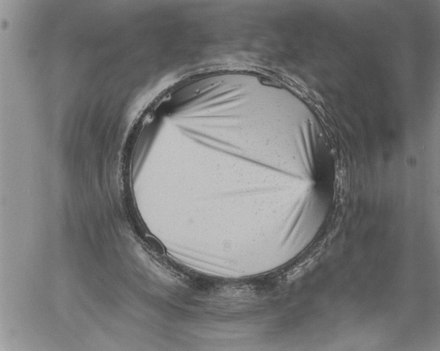 X0000060550248200511241232