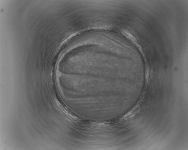 X0000060550249200511241232