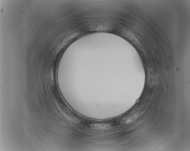 X0000060550251200511241232