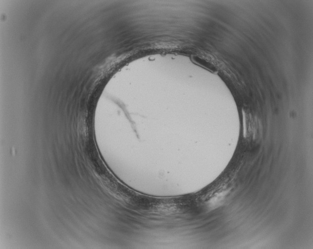 X0000060550252200511241232