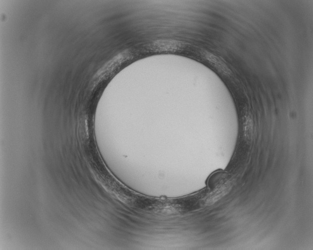 X0000060550254200511241232