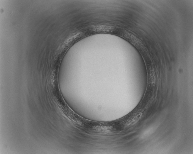 X0000060550255200511241232