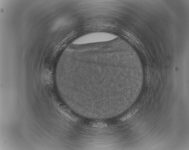 X0000060550258200511241232