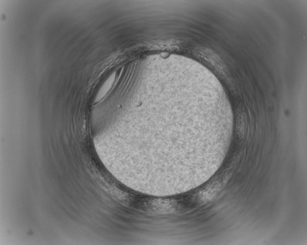 X0000060550261200511241232