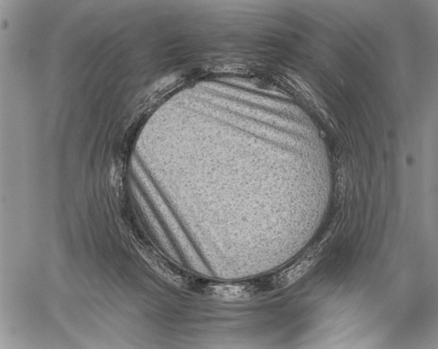 X0000060550265200511241233