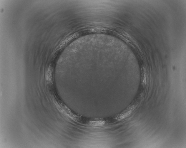 X0000060550266200511241233