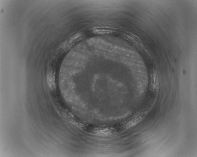 X0000060550267200511241233