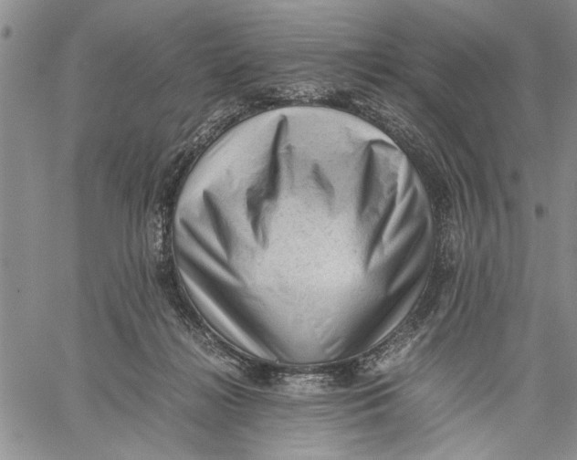 X0000060550268200511241233