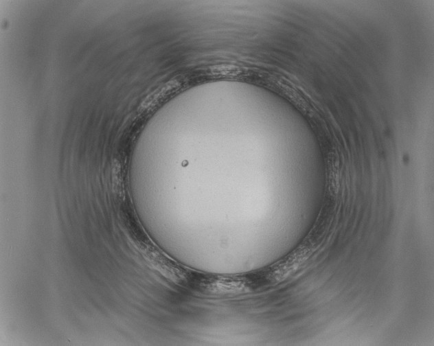 X0000060550270200511241233