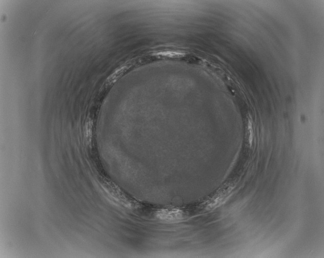 X0000060550271200511241233