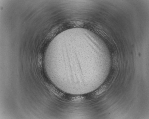 X0000060550274200511241233