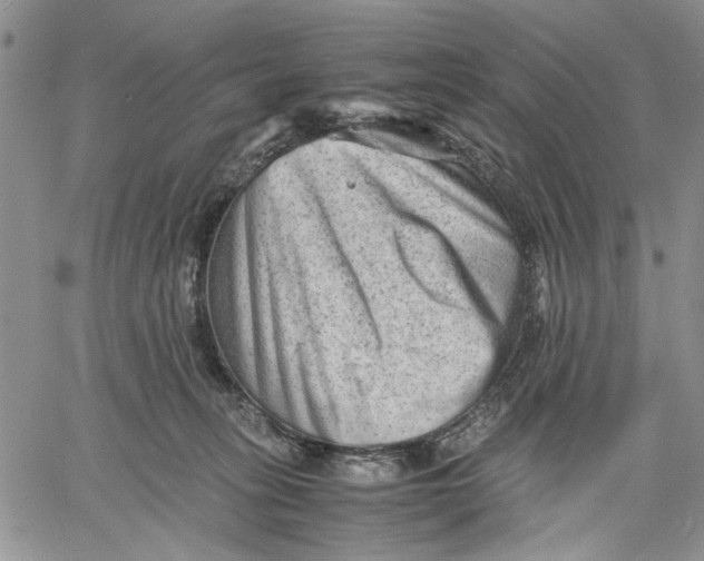 X0000060550275200511241233