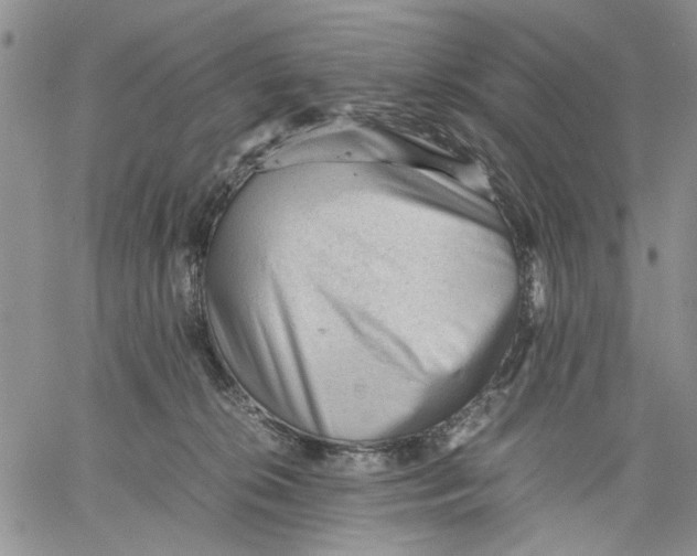 X0000060550276200511241233