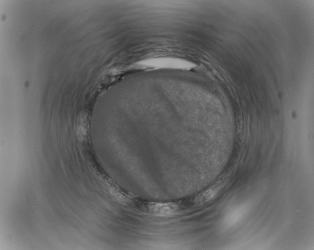 X0000060550277200511241233