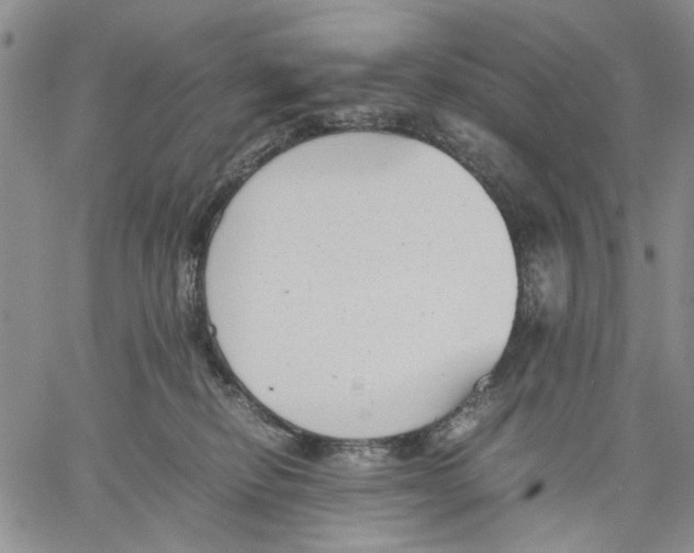 X0000060550278200511241233