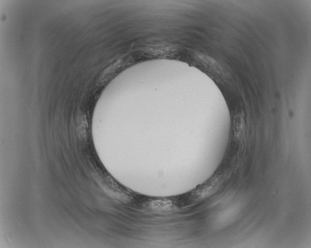 X0000060550279200511241233