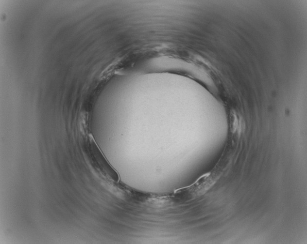 X0000060550280200511241233