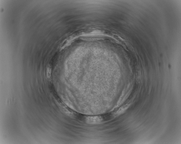 X0000060550281200511241233