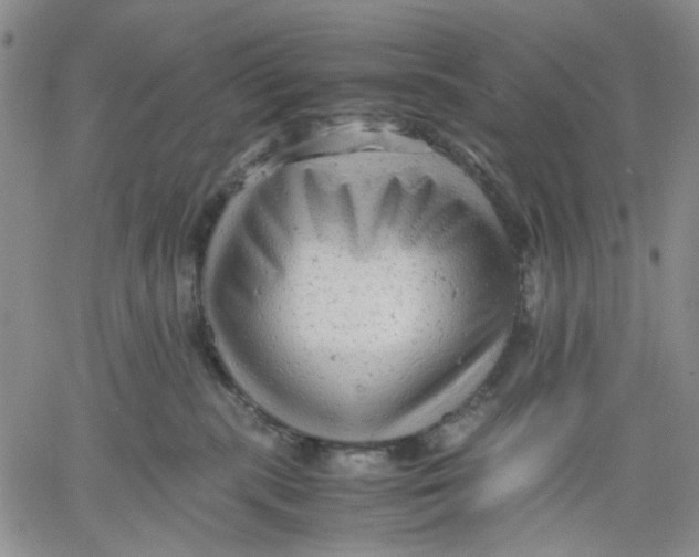 X0000060550283200511241233