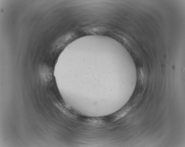 X0000060550284200511241233