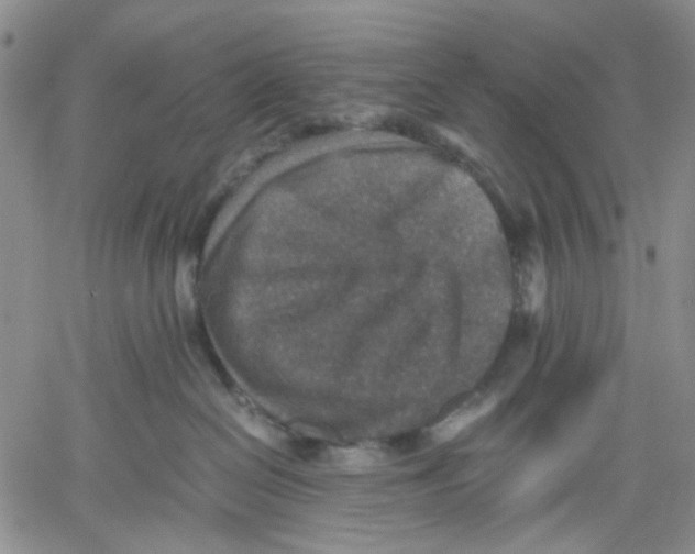 X0000060550286200511241233