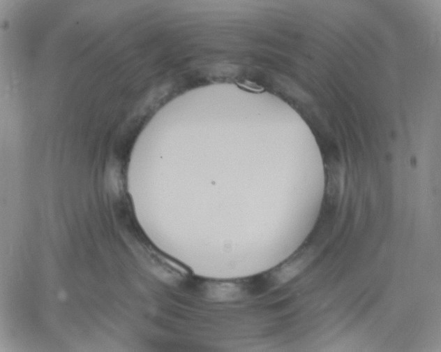 X0000060550287200511241233