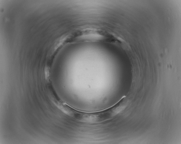 X0000060550288200511241233