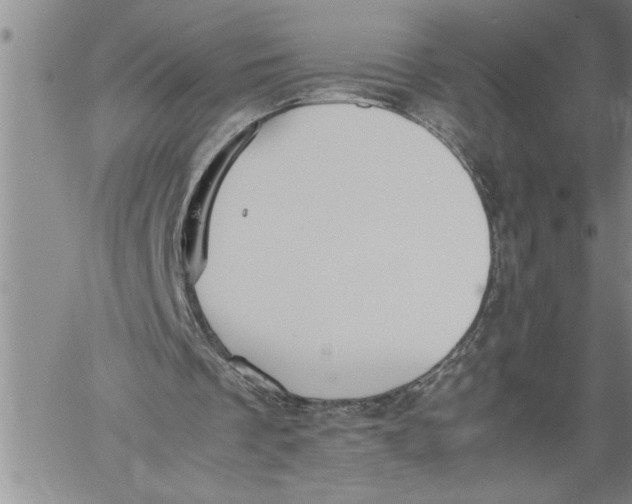 X0000060550289200511241232