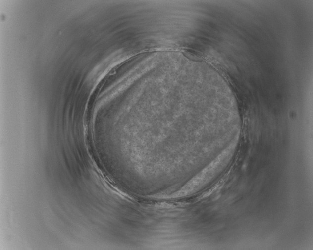 X0000060550290200511241232