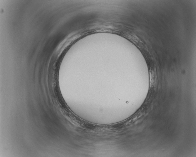 X0000060550291200511241232