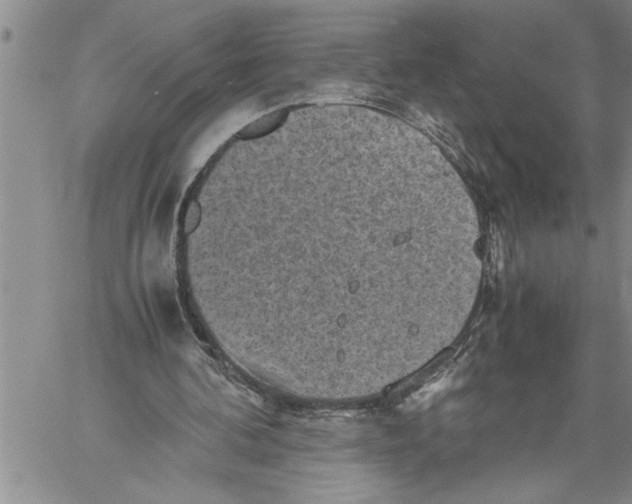 X0000060550292200511241232