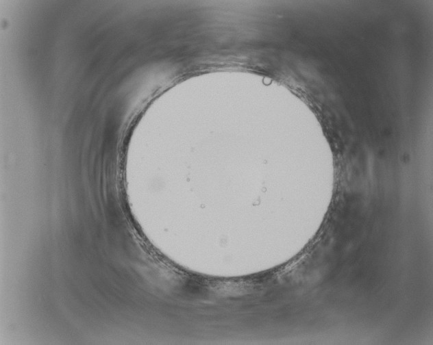 X0000060550293200511241232