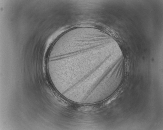 X0000060550294200511241232