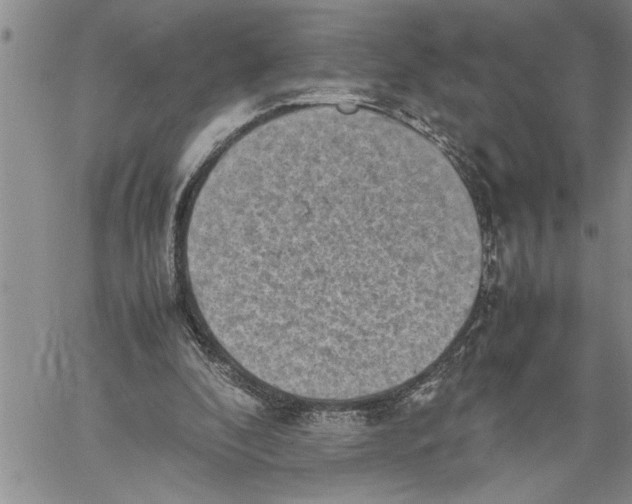 X0000060550296200511241232