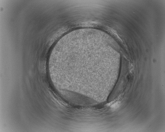 X0000060550299200511241232