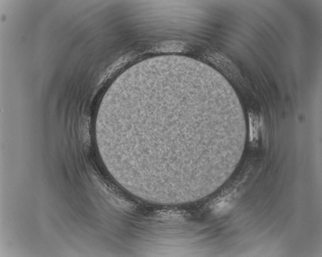 X0000060550300200511241232