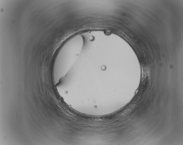 X0000060550301200511241232