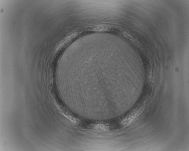 X0000060550303200511241232