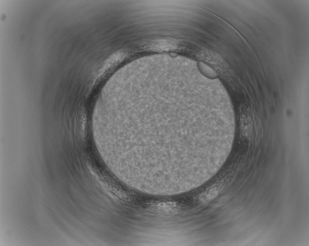 X0000060550304200511241232