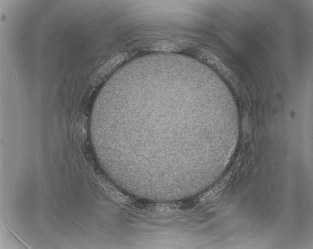 X0000060550305200511241232