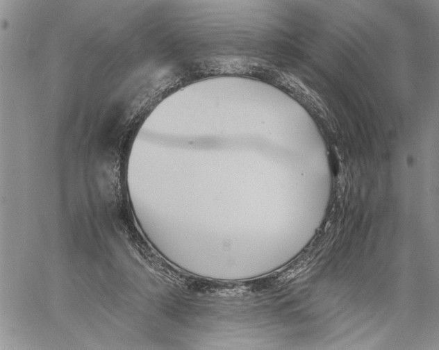 X0000060550306200511241232