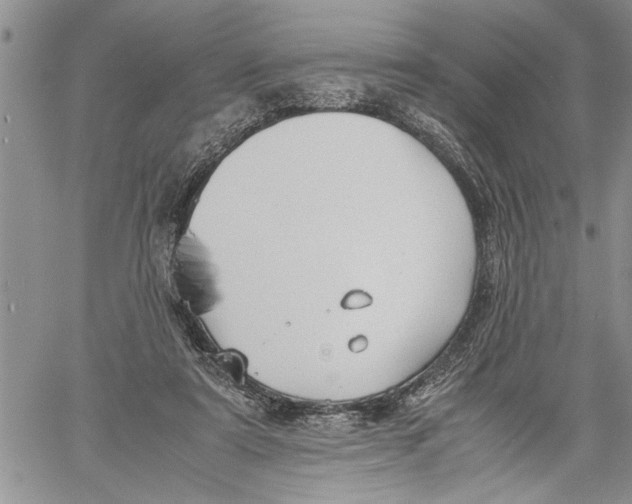 X0000060550307200511241232