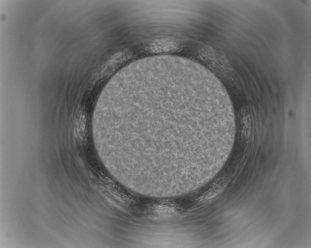 X0000060550308200511241232