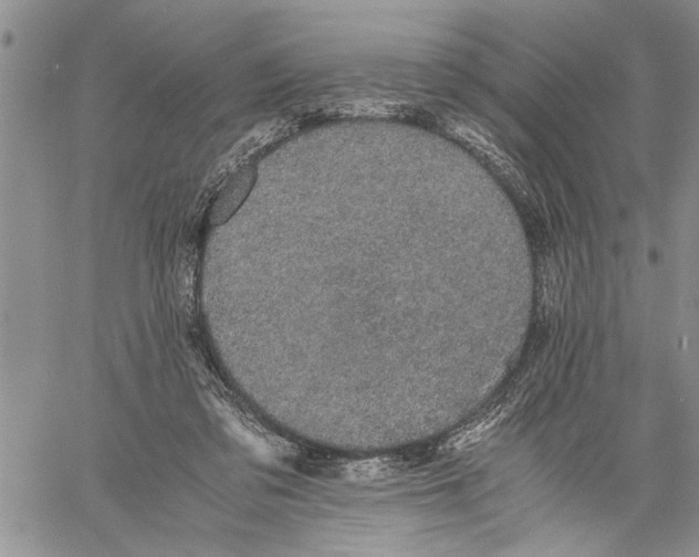 X0000060550309200511241232