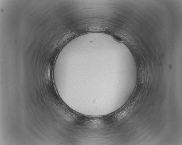 X0000060550310200511241232